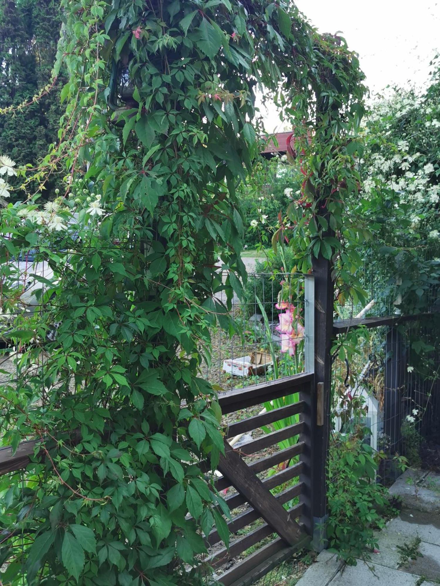 Guesthouse With Sauna Lahti Exterior foto